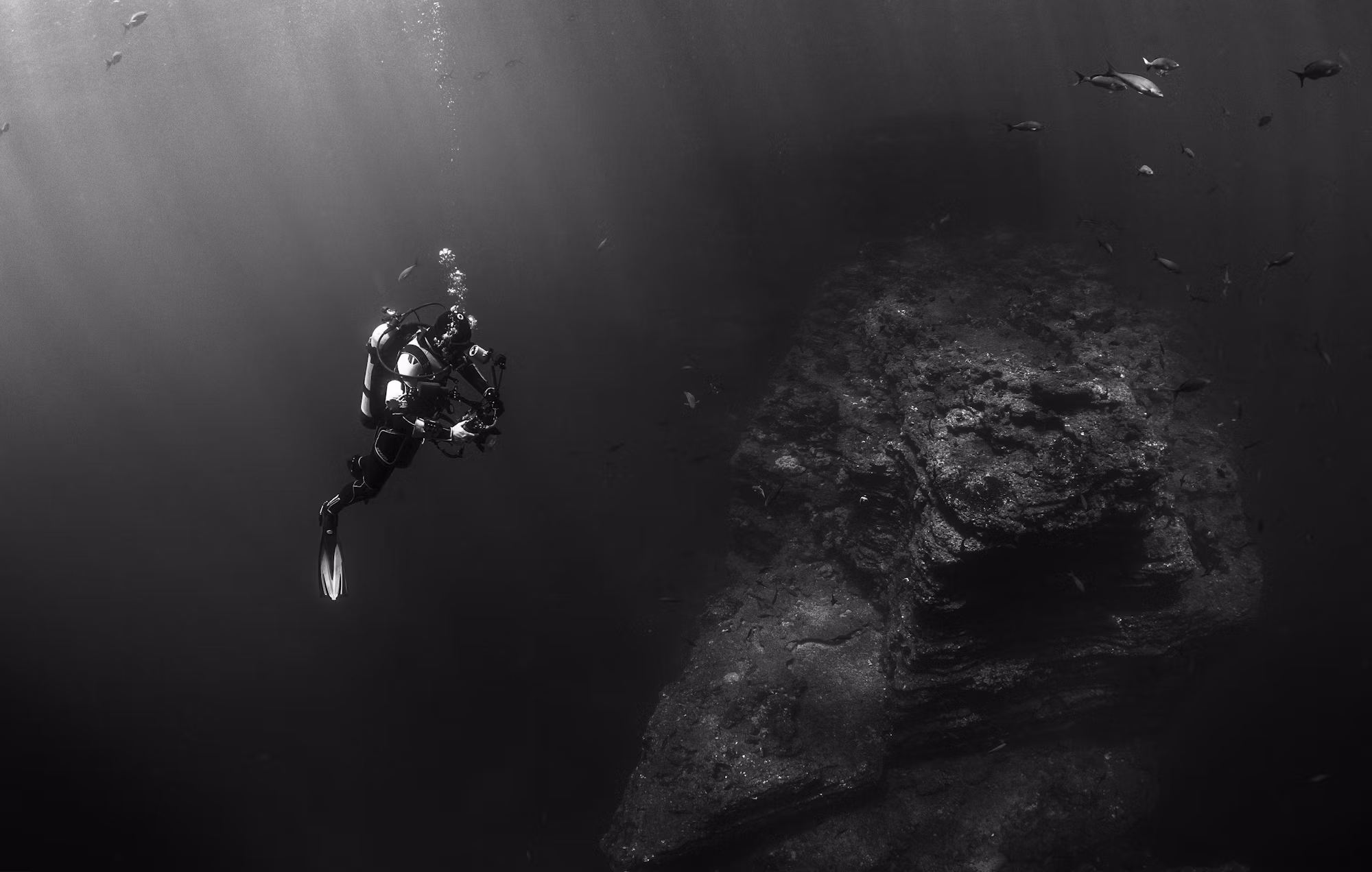 Beneath the Waves: A Journey Through the World of Diving